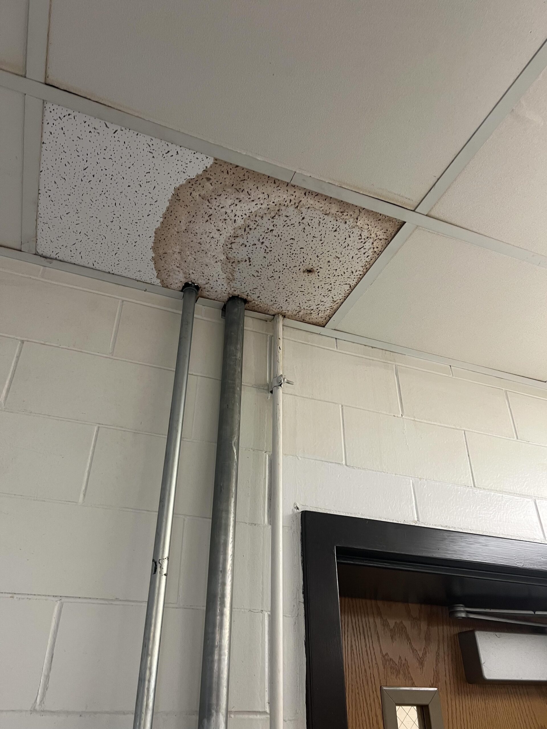 Eastview roof leak